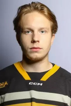 Elias Jansson, Hockey, undefined