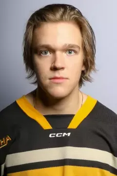 Tom Leppa, Hockey, undefined