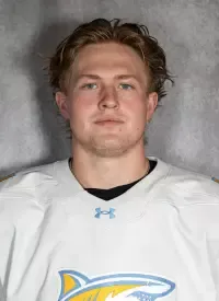 Conner Brown, Hockey, Long Island University