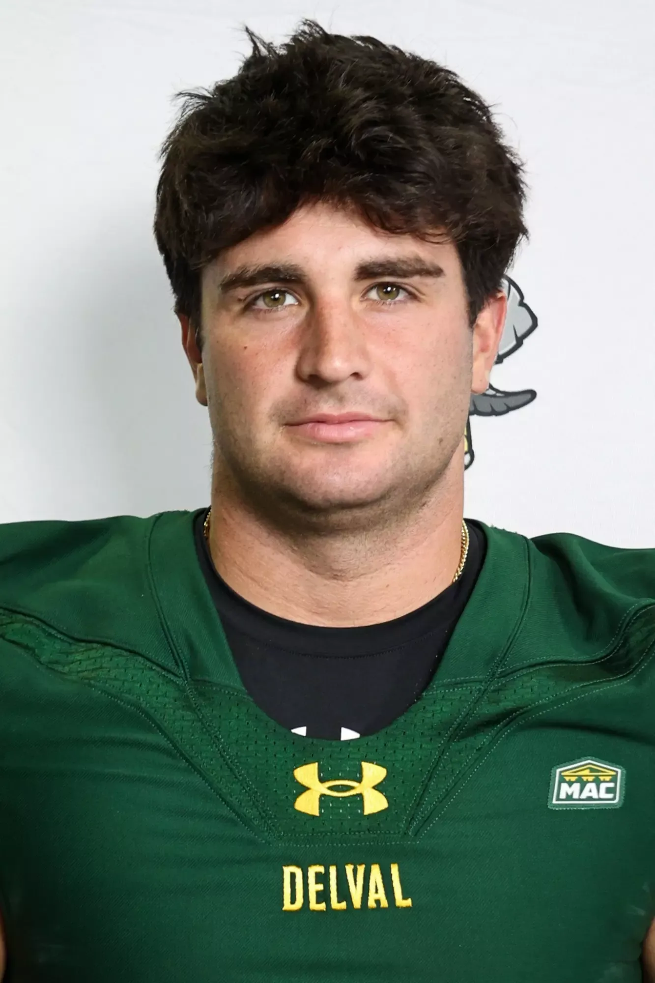 Thomas Arcaroli, Football, Delaware Valley University