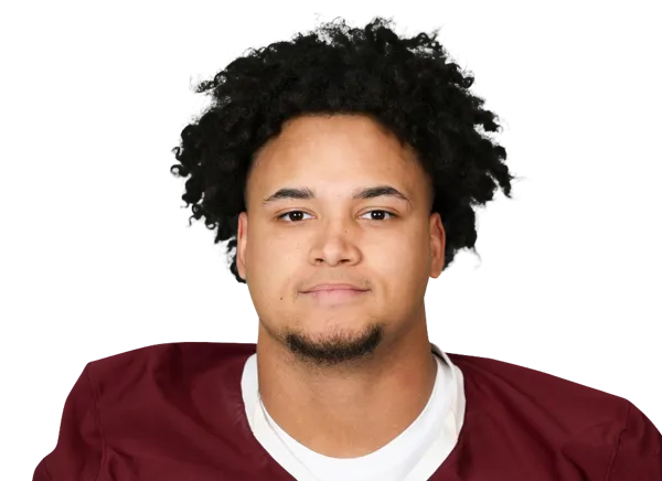 DJ Wesolak, Football, undefined