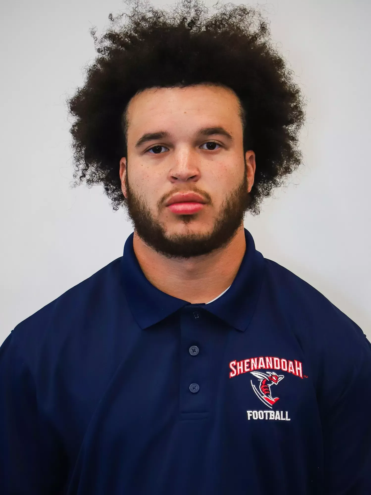 Bryce Buchanan, Football, Shenandoah University