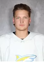 Noah Serdachny, Hockey, undefined