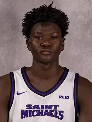 Amadou Fall, Basketball, Saint Michael's College