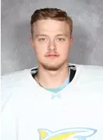 Daniel Duris, Hockey, Long Island University