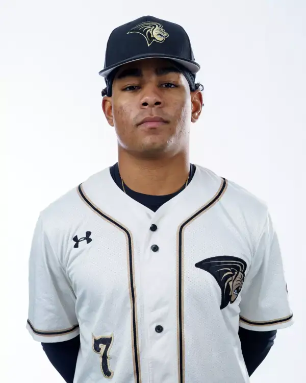 Cade Martinez, Baseball, Lindenwood University