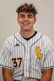 Andrew Visconti, Baseball, undefined