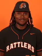 Nico Brown, Baseball, undefined