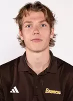 Ty Henricks, Hockey, undefined