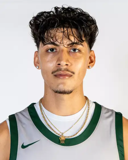Osvaldo Biebrich, Basketball, Point Park University