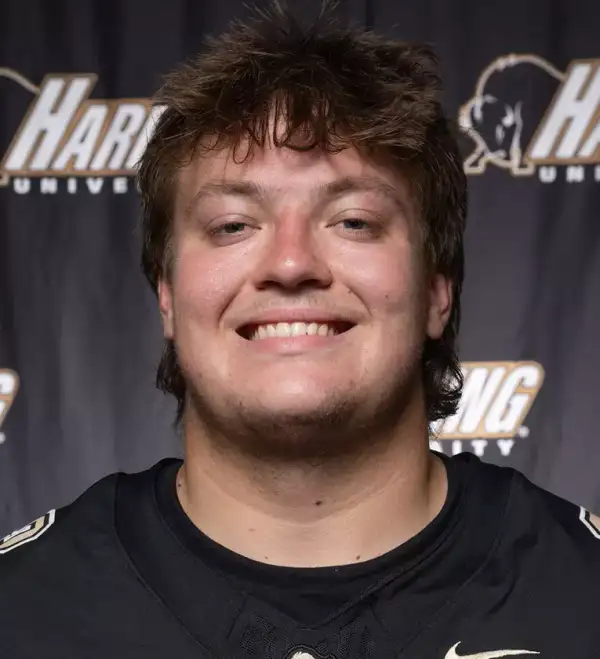 Andrew Dawson, Football, Harding University