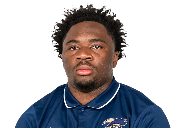 Shaun Hamilton, Football, undefined