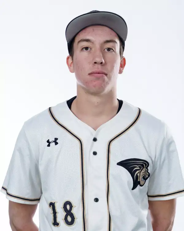 Lucas Niemeyer, Baseball, Lindenwood University