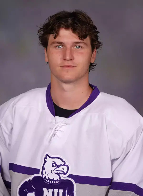 Mitch Young, Hockey, Niagara University