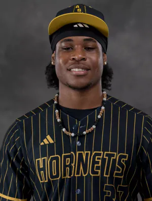 Niguel Jenkins, Baseball, undefined