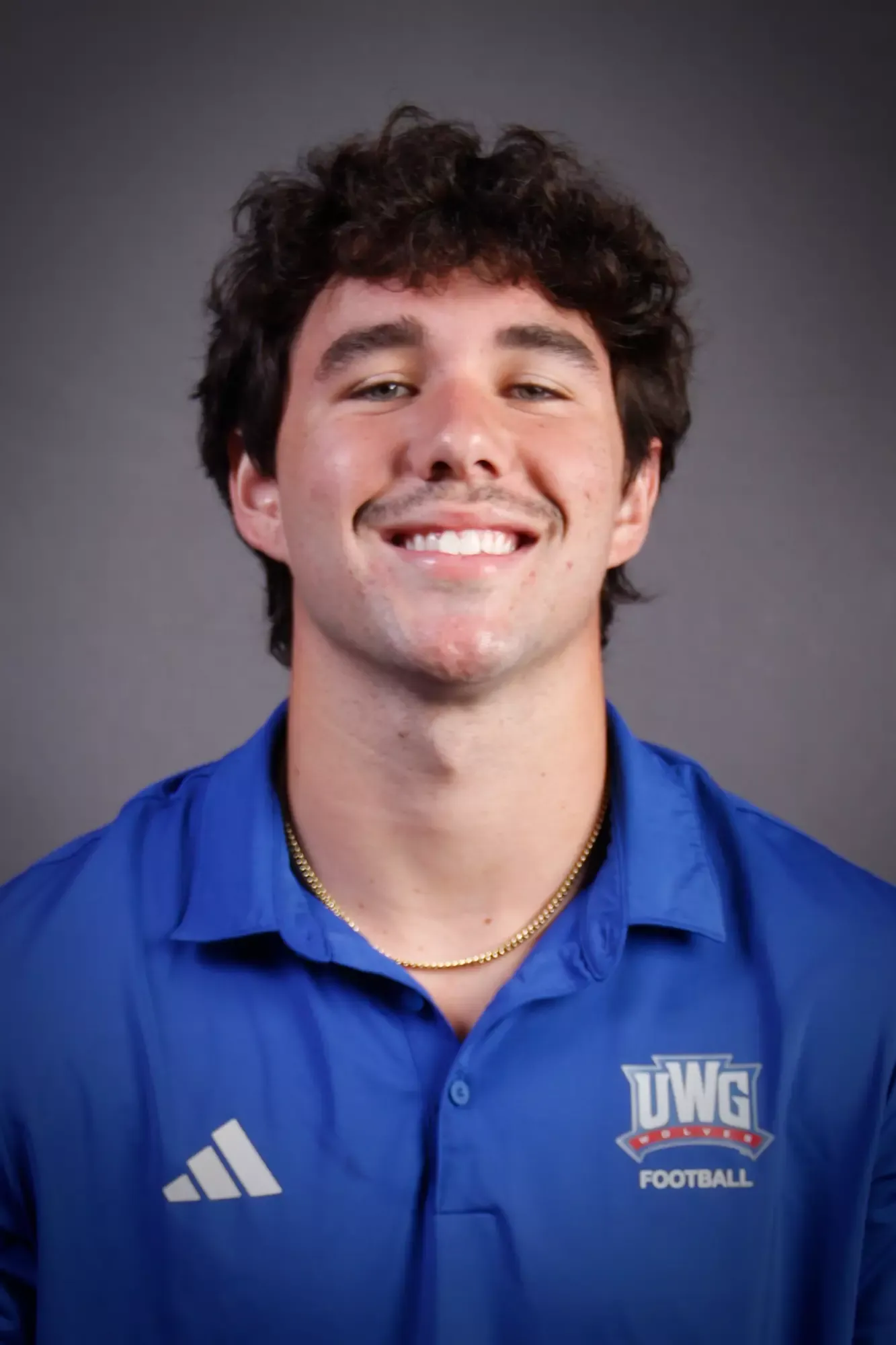 Holton Harris, Football, undefined