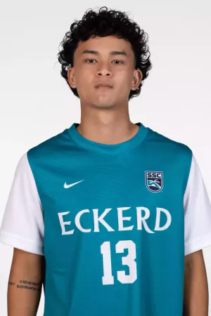 Landon Nouaneasa, Soccer, undefined