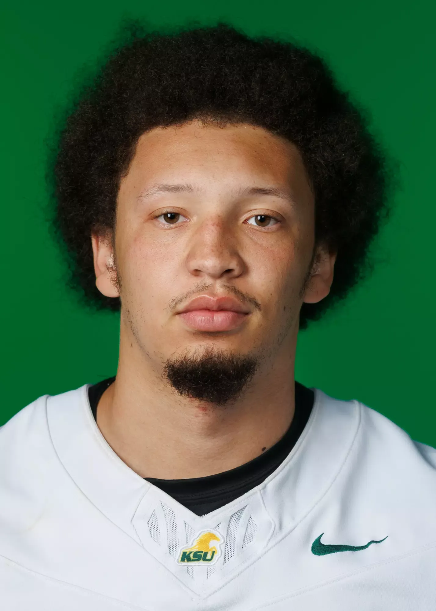 Eric Hogan Jr., Football, undefined