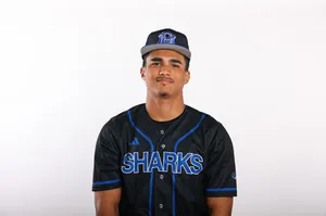 Miguel Colmenares, Baseball, undefined