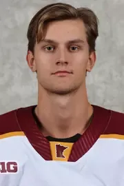 Erik Pahlsson, Hockey, undefined