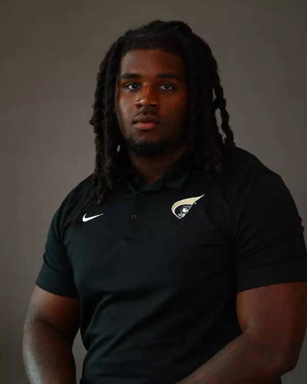 RJ Flemmings, Football, Anderson University