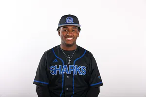 Nelson Hiraldo, Baseball, undefined