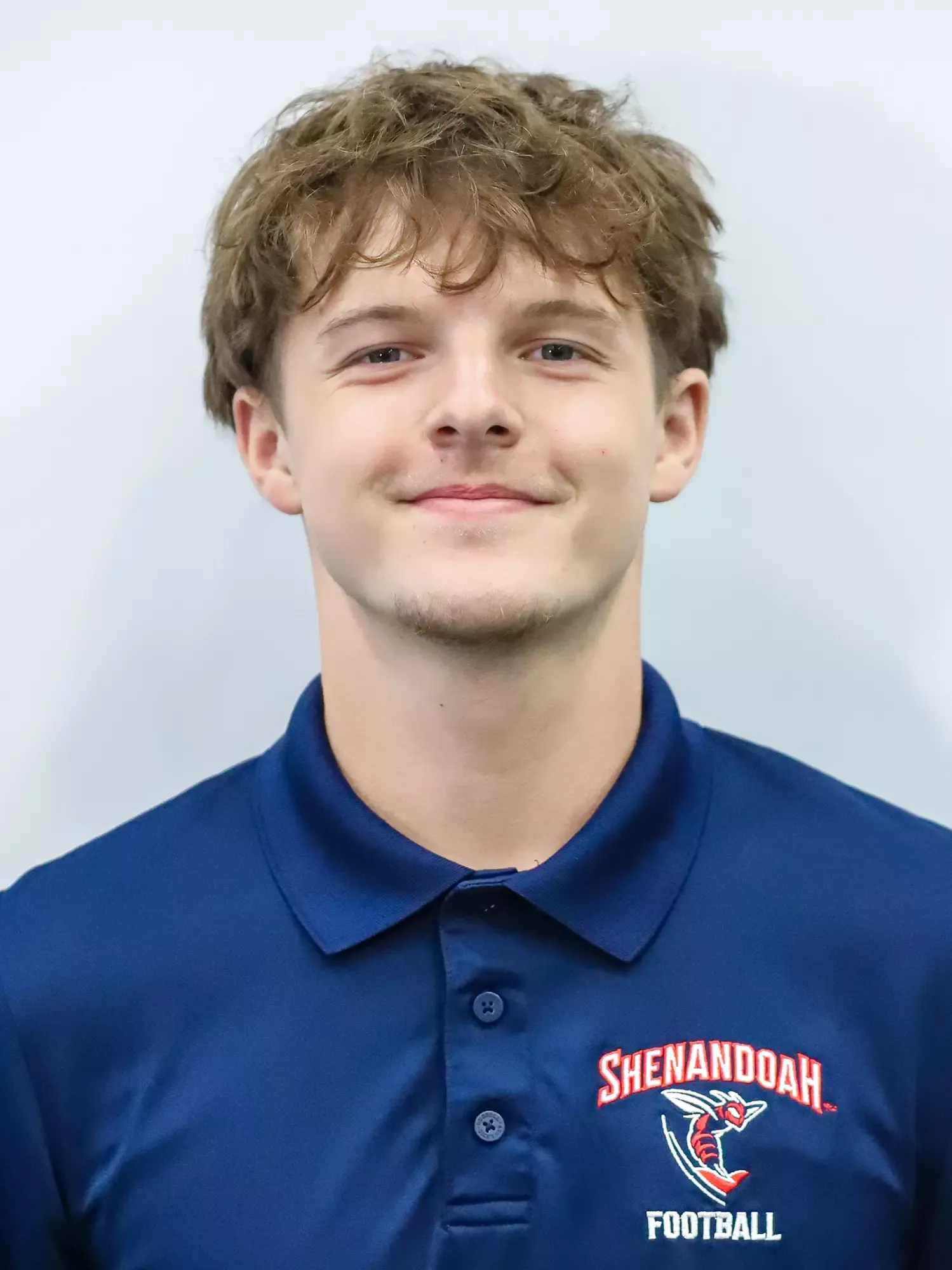 Sean Stead, Football, Shenandoah University