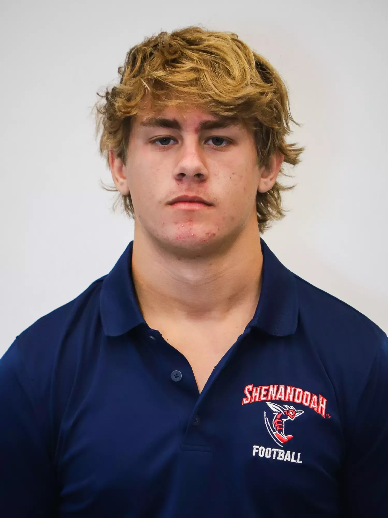 Ace Heinrichs, Football, Shenandoah University