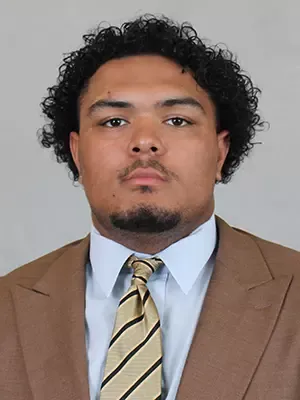 Jordan Frink, Football, Ferrum College