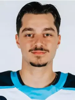 Jeremy Langlois, Hockey, undefined