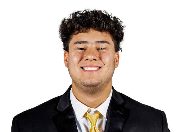 Zach Lohavichan, Football, undefined