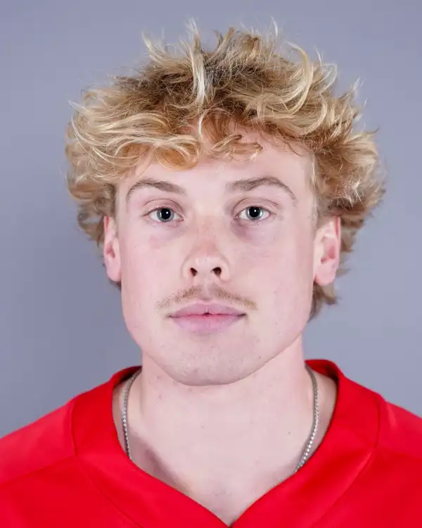 Ethan Van Sice, Baseball, Cornell University