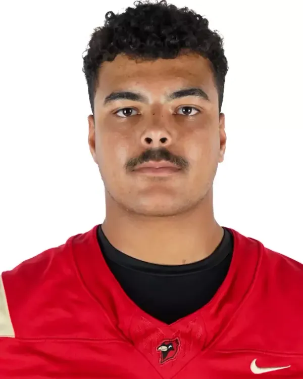 Alex Horstman, Football, Otterbein University