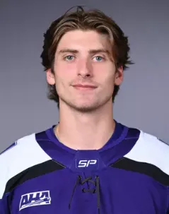 Danick Leroux, Hockey, undefined