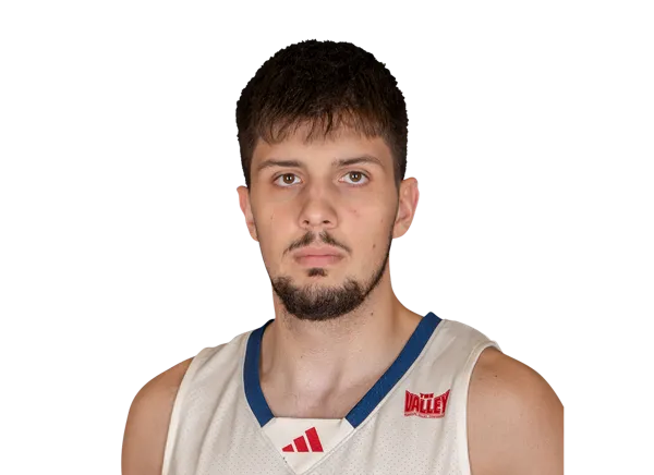 Ante Beljan, Basketball, undefined