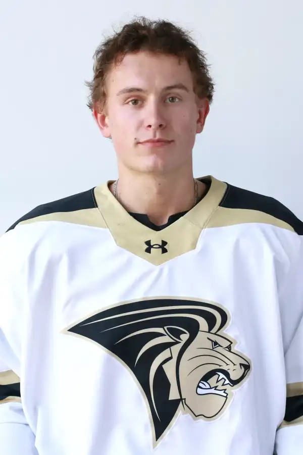 Noah Dziver, Hockey, Lindenwood University