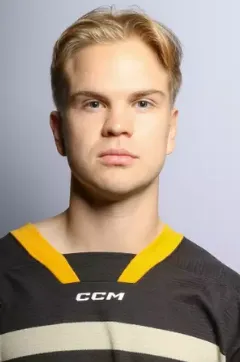 Lauri Raiman, Hockey, undefined