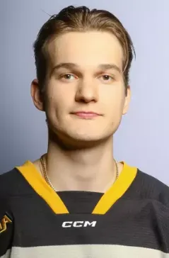 Kasper Vaharautio, Hockey, undefined