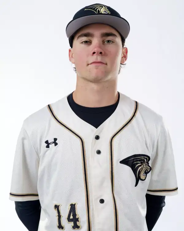 Kris Alcorn, Baseball, Lindenwood University