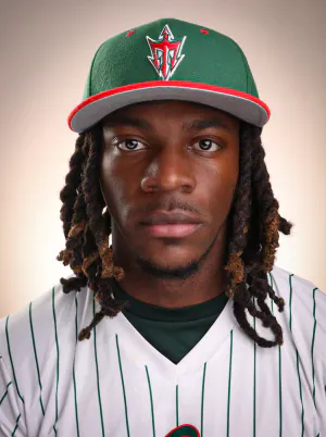 Noah Bufford, Baseball, undefined