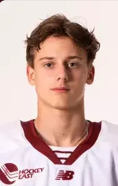 Luka Radivojevic, Hockey, undefined