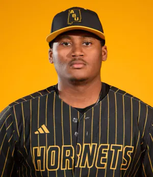 Andrew Wells, Baseball, undefined