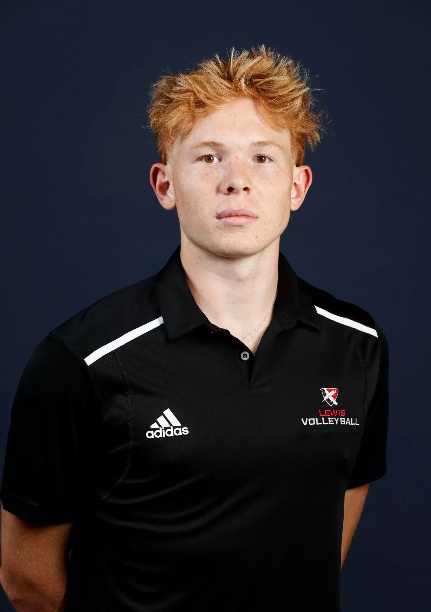 Gauthier Brozak, Volleyball, Lewis University