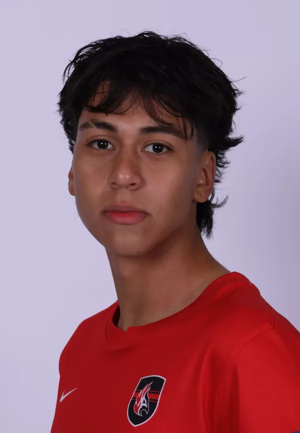 Dennis Valle, Soccer, Carthage College