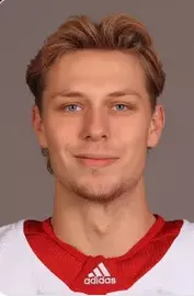 Ethan Hay, Hockey, undefined