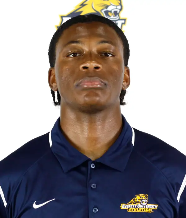 Evan Sellers, Football, Averett University
