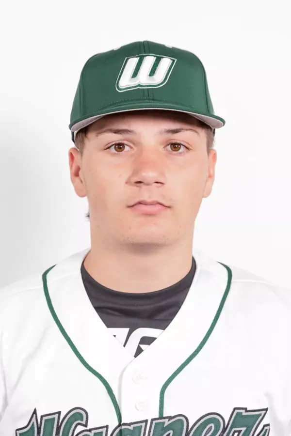 Gavin Townsend, Baseball, Wagner College