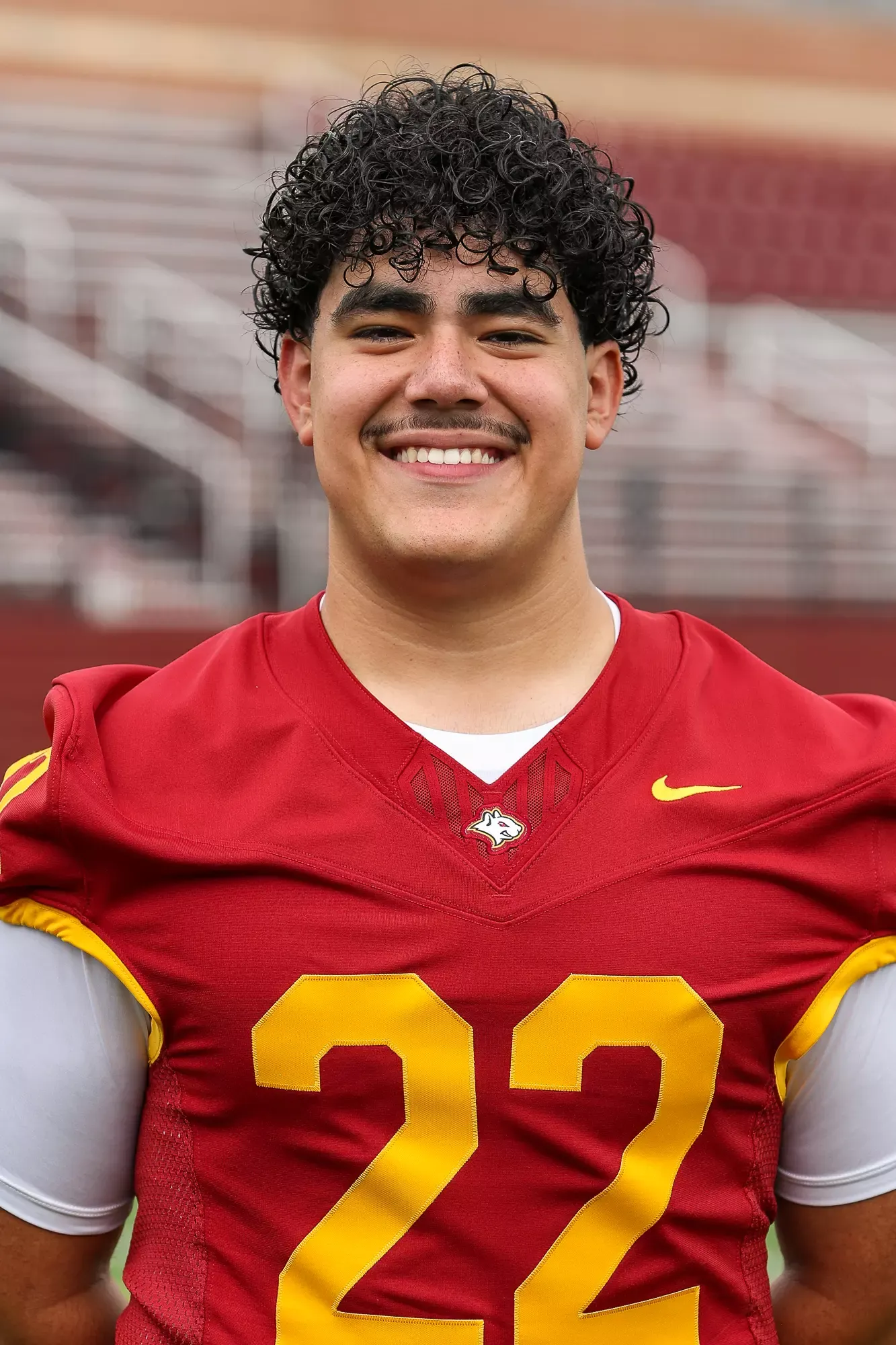 Gabriel Pena, Football, Oberlin College