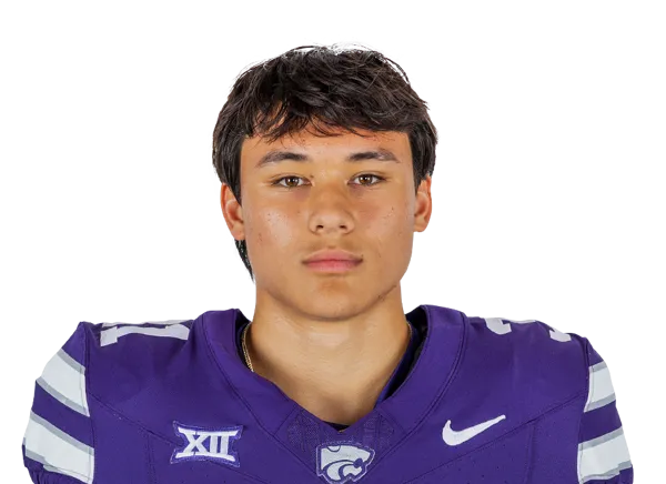 Dominic Mitchell, Football, undefined