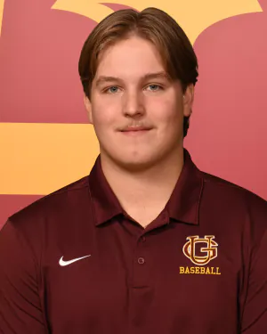 Nick Robertson, Baseball, Gannon University
